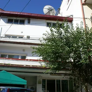 Pensiunea Helvetia 3* Bucharest